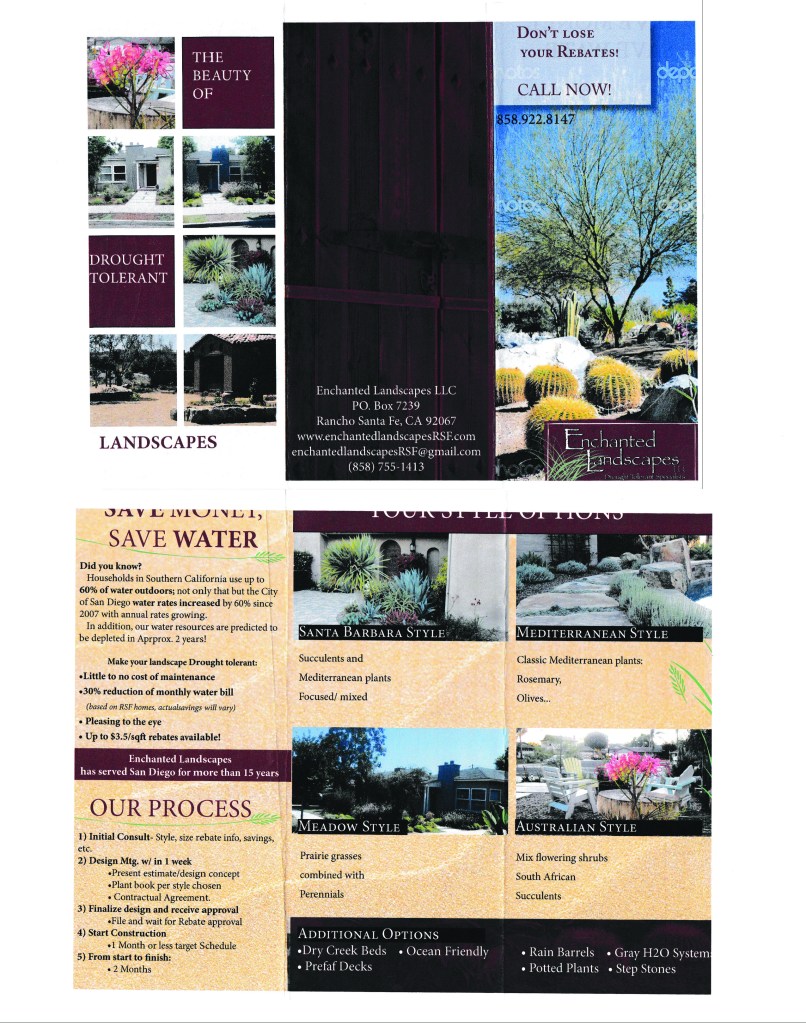 Draft with color and pictures